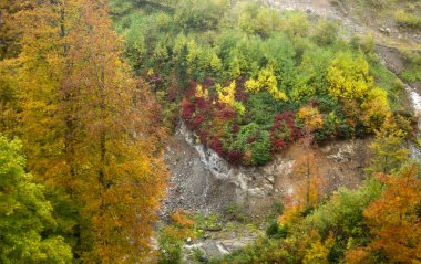 Rusya, Kuzey Kafkasya, Krasnodar Bölgesi 'nin Absheron bölgesi, Chernigov köyünün çevresi.
