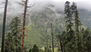 Karachay 'sız Cumhuriyet. Ana Kafkas Bölgesi Bölgesi.