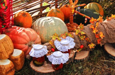 10. kez, Rusya 'nın güneyinde, Adygea Cumhuriyeti' nde geleneksel bir Ayghe peynir festivali düzenlendi..
