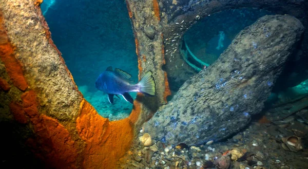 Location Russie Mer Noire Zone Sous Marine Flèche Bugaz Près — Photo