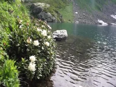 Karachay-Cêess Cumhuriyeti 'nin dağlık bölgeleri. İnanılmaz güzel dağ gölleri, vadiler ve dağ nehirleri. Abhazya Cumhuriyeti sınırında bir yerde. Bunlar dağ turizmi ve medeniyetten uzak yerler..