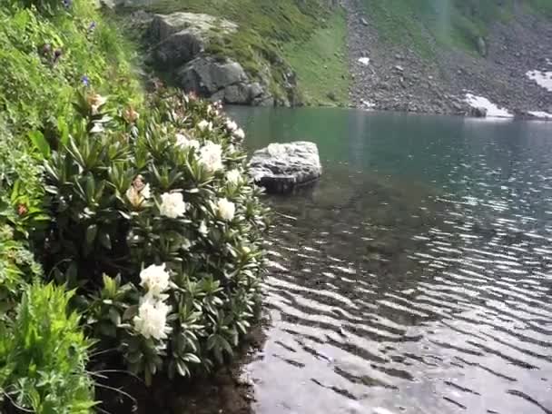 Karachay Cêess Cumhuriyeti Nin Dağlık Bölgeleri Nanılmaz Güzel Dağ Gölleri — Stok video