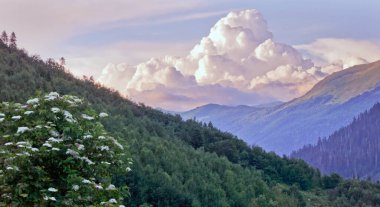 Karachay-Cêess Cumhuriyeti 'nin dağlık bölgeleri. İnanılmaz güzel dağ gölleri, vadiler ve dağ nehirleri. Abhazya Cumhuriyeti sınırında bir yerde. Bunlar dağ turizmi ve medeniyetten uzak yerler..