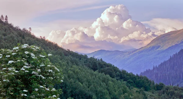 Karachay-Cêess Cumhuriyeti 'nin dağlık bölgeleri. İnanılmaz güzel dağ gölleri, vadiler ve dağ nehirleri. Abhazya Cumhuriyeti sınırında bir yerde. Bunlar dağ turizmi ve medeniyetten uzak yerler..