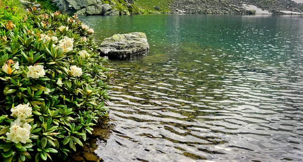 Highlands Karachay Cherkess Republic Des Lacs Montagne Incroyablement Beaux Des — Photo