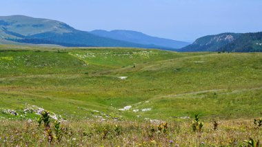 Kuzey Kafkasya, Adygea Cumhuriyeti, LagoNaki dağları. Çok günlük yürüyüş ve yürüyüş için inanılmaz güzel yerler..