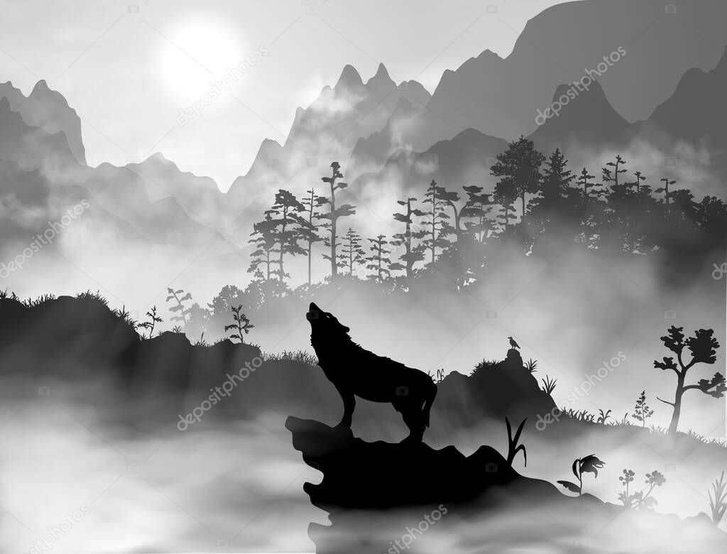 Silhouette of the wolf howling at the moon at night in front of the mountains inside the mist clouds. Hight detailed realistic black and white vector illustration