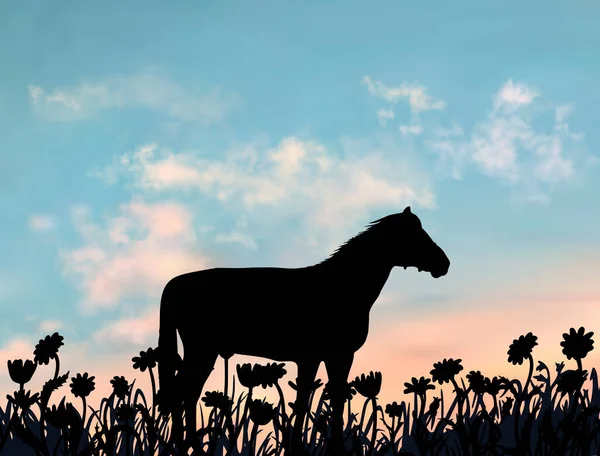 Одна лошадь стоит на лужайке, полной ромашки. Деревенский луг на закате. Простая иллюстрация силуэта под реалистичным векторным небом. — стоковый вектор