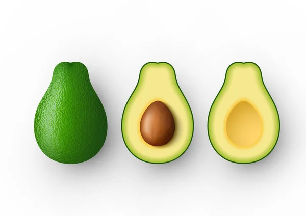 Realistische groene avocado geheel en gesneden in de helft avocado met pit. Vector illustratie geïsoleerd op witte achtergrond. — Stockvector