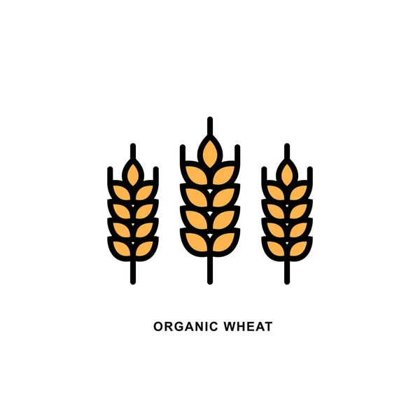 Logotipo do vetor Wheat ears ícone linear para negócios, agricultura, cerveja, padaria, sem glúten. Linha preta ilustração isolada sobre fundo branco . — Vetor de Stock