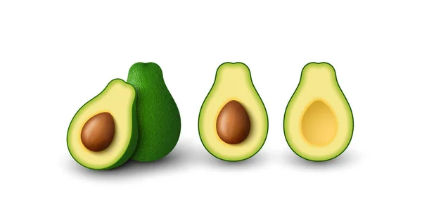 Abacate verde realista para uma alimentação saudável. Inteiro e cortado ao meio abacate. Ilustração vetorial 3D isolada sobre fundo branco . —  Vetores de Stock
