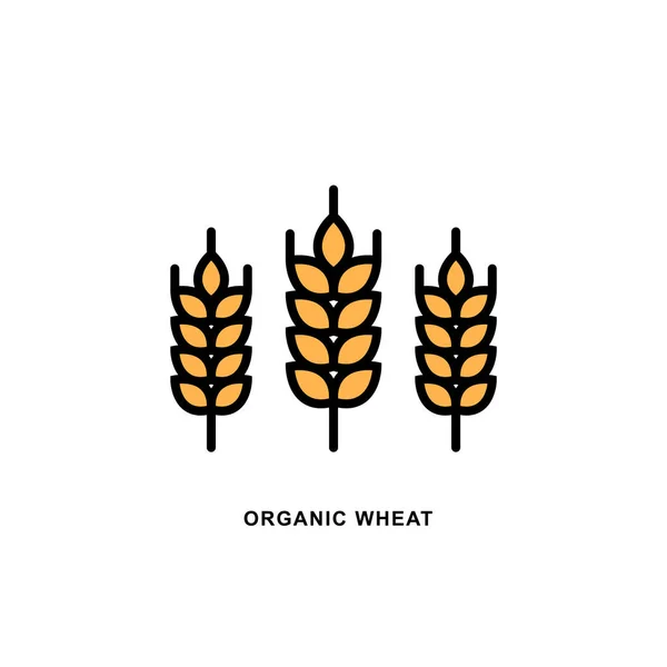 Raster logó Búza fülek lineáris ikon üzleti, mezőgazdasági, sör, pékség, gluténmentes. Fekete vonal illusztráció fehér háttér. — Stock Fotó