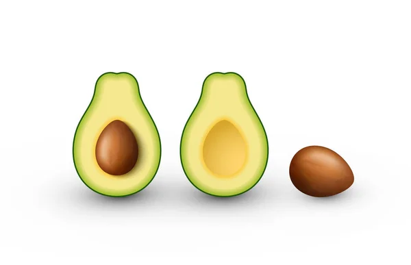 Realistisk avokado för hälsosam kost. Skär i halv avokado med grop. Raster illustration på vit bakgrund. — Stockfoto
