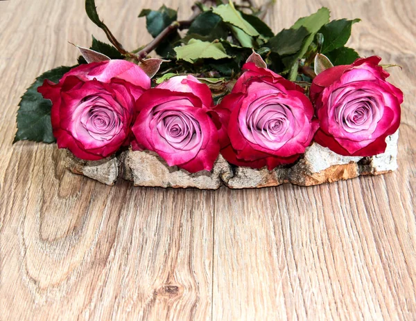 The rose buds on the cut wood. Flowers on a light background.