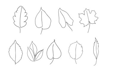 Bir çizgi vektör yaprağı ve palmiye yaprağı çiziyor. Modern tek çizgi sanatı, estetik konsept. Posterler, duvar sanatı, yaprak çizimi gibi ev dekorasyonu için mükemmel. Bir satır bırakır.