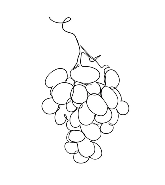 Grapes in continuous line art drawing style. Black line sketch on white background. Vector illustration. Grapes Continuous one line art. Grapes fruit. Vector. — Stock Vector