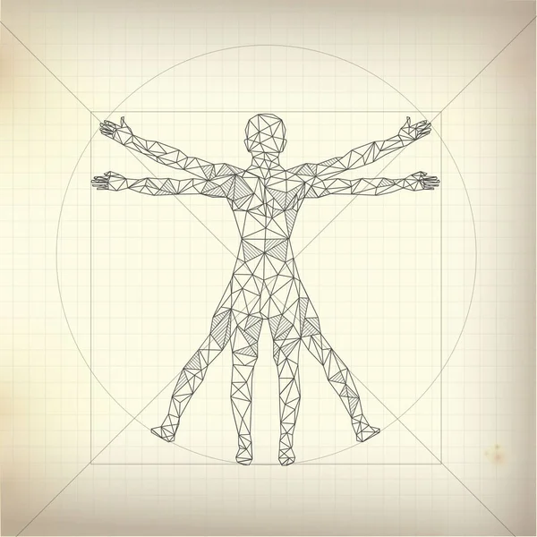 Dibujo Anatomía Humana Proporción Hombres Leonardo Vinci Hombre Vitruvio — Vector de stock