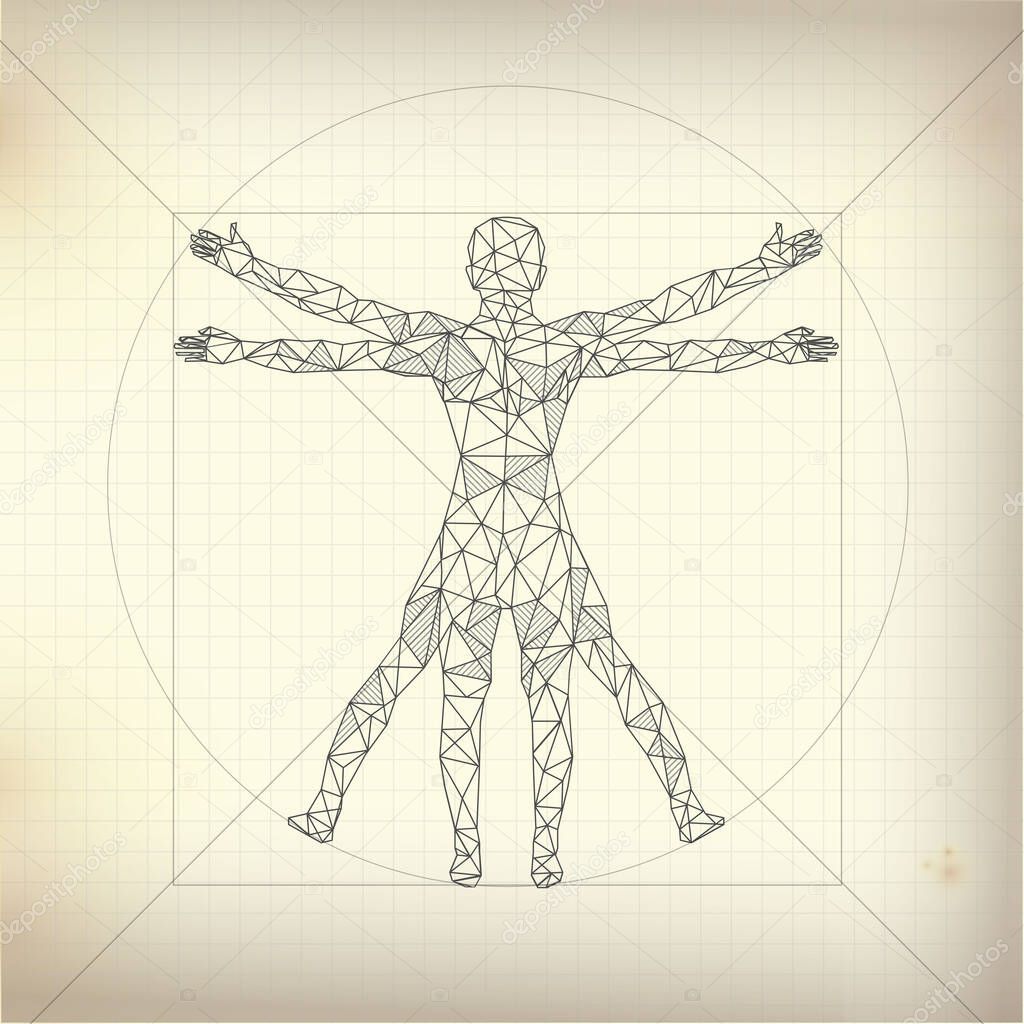drawing of human anatomy or proportion of men; Leonardo Da Vinci Vitruvian man