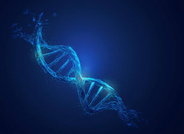 Gráfico Baixo Poli Dna Com Elemento Futurista Tema Ciência — Vetor de Stock