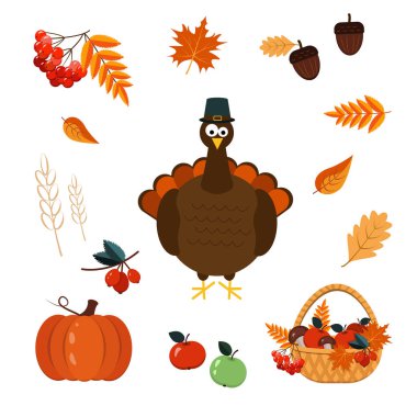 Şükran Günü ve sonbahar yaprakları için bir sepet, hasat, Türkiye. Vektör grafikleri