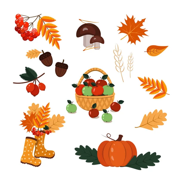 Set of autumn elements isolated on a white background-basket with apples, leaves, Rowan, mushrooms, rose hips, rubber boots, pumpkin — Stock Vector