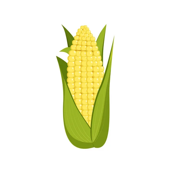 玉米芯在白色背景上被隔离 矢量图形 — 图库矢量图片