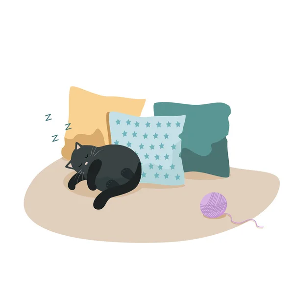 Illustration Black Cat Sleeping Pillows Vector Graphics — Stock Vector