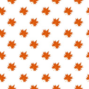 Kusursuz desen, beyaz arkaplanda akçaağaç yaprakları.