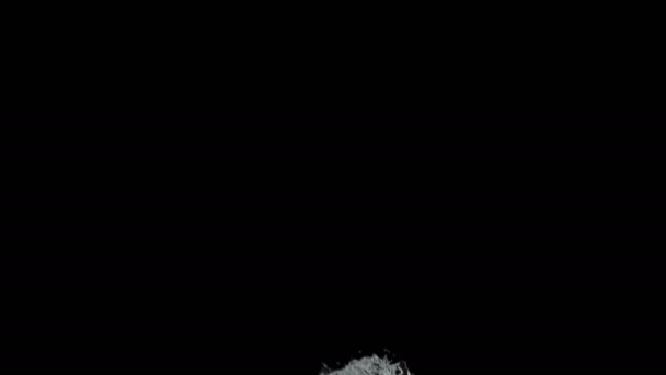 Вода Розбризкує Повільний Рух Чорному Тлі Чорному Дизайн Ілюстрацій — стокове відео