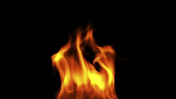 Fire Concept Design Black Background Illustration — Stock Video