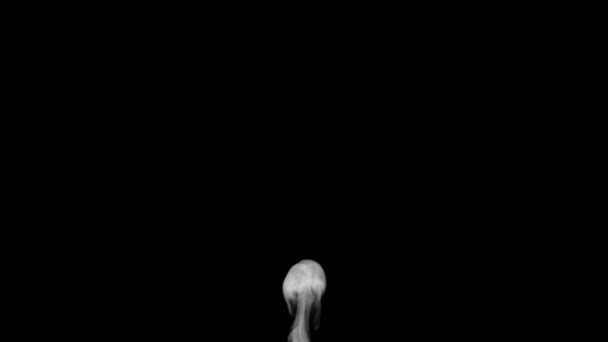 黑色背景的烟雾概念设计 — 图库视频影像