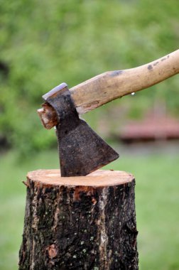 Baltayı bir günlükten yapışkanlık dışarı.