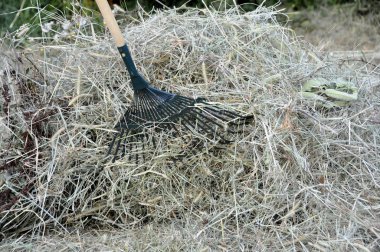 Tırmıklar arka bahçesinde üzerinde tarafından kuru ot Temizleme