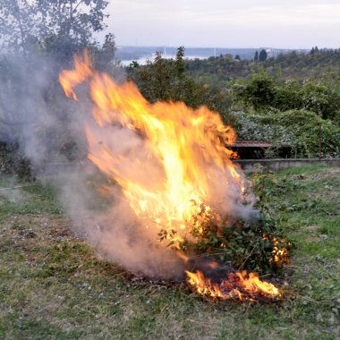 Bahçede yanan kuru sonbahar yaprak