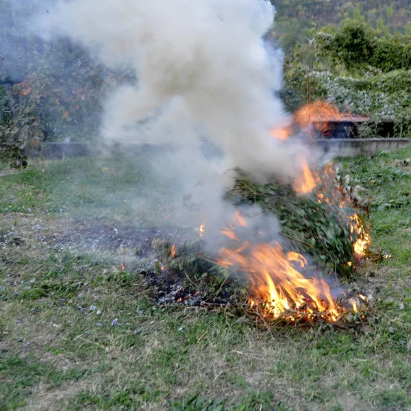 The dry autumn leaf burning in the garden.