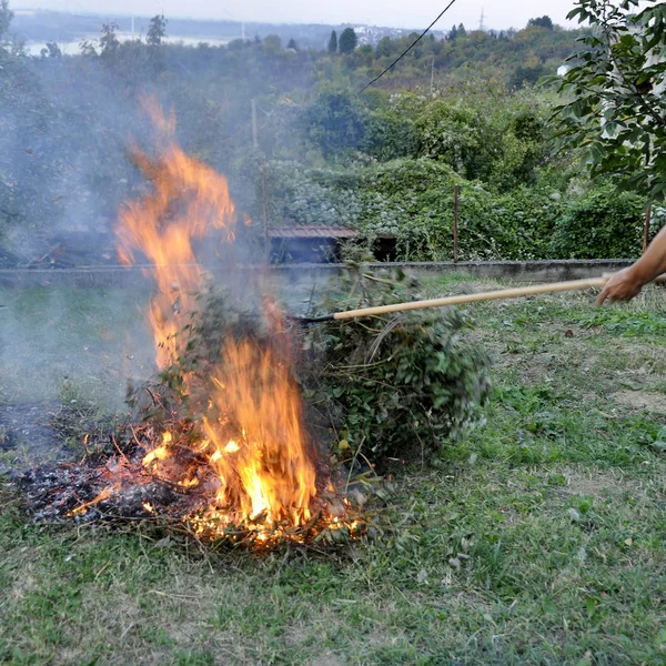 The dry autumn leaf burning in the garden.