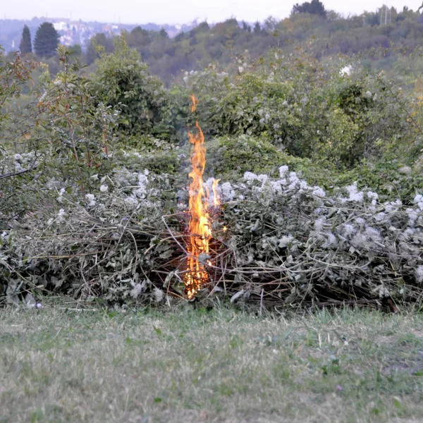 Foglia Secca Autunnale Che Brucia Giardino — Foto Stock