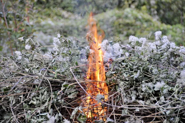 Hoja Seca Otoño Ardiendo Jardín —  Fotos de Stock