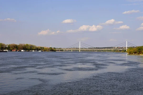 세르비아의 노비 사 드와 다뉴브 강 — 스톡 사진