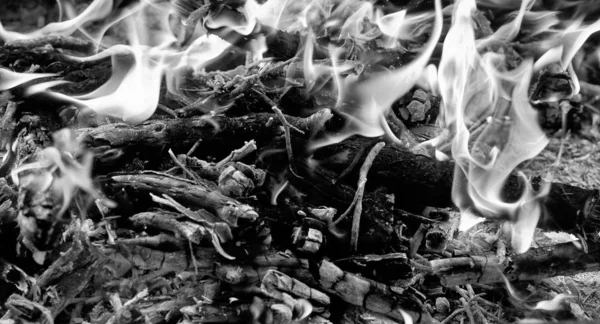 Огонь. Древесина горит в огне. Оранжевое пламя . — стоковое фото