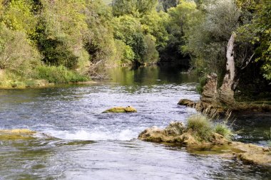 suda yansıması ile geçilmez çalılıklarda nehir