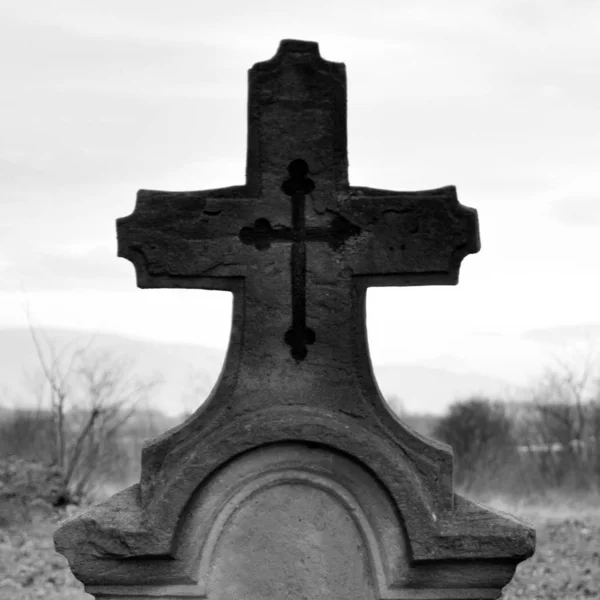 Old tombstone cross of the First World War   autumn forest.black — Free Stock Photo