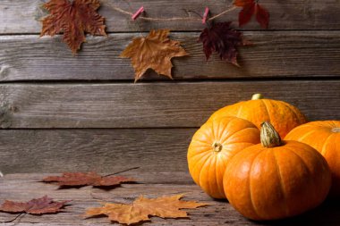 Sonbahar masasında balkabağı ve ceviz. Hasat et.