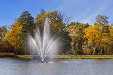 Park gölündeki çeşme. Sarı yapraklı sonbahar ağaçları ve çalılar .