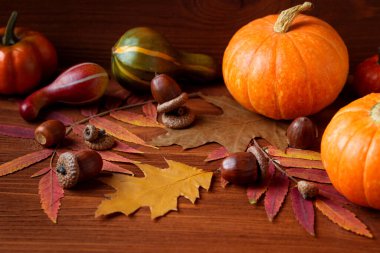 Sonbahar kompozitsiyası. Balkabakları, meşe palamutları ve düşen yapraklar.