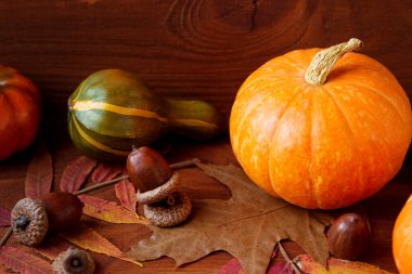 Sonbahar kompozitsiyası. Balkabakları, meşe palamutları ve düşen yapraklar.