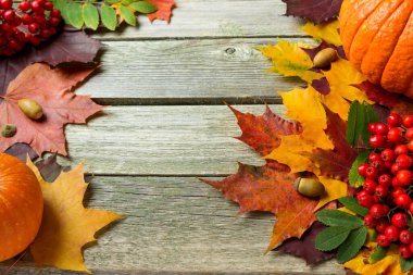 Yapraklar, balkabakları ve kırmızı dağ külleriyle sonbahar arkaplanı.