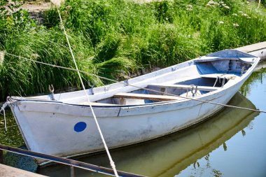 Kutum Nehri 'nin kıyısında yeşil otlarla kaplı eski bir tekne duruyor.