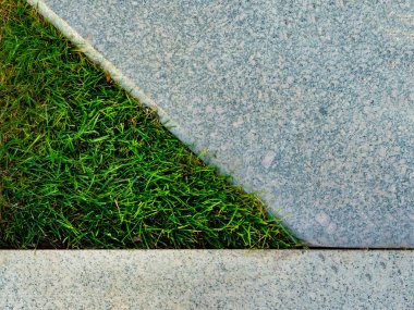 Yeşil çimenler gri betonu delip geçti