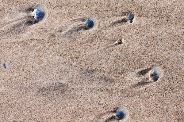 photographic image of a sandy beach close up with stones and dredging in the sand on a sunny summer day.